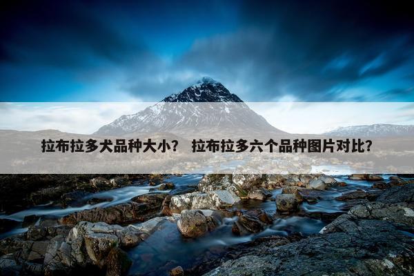 拉布拉多犬品种大小？ 拉布拉多六个品种图片对比？