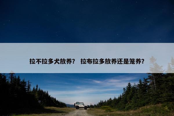 拉不拉多犬放养？ 拉布拉多放养还是笼养？