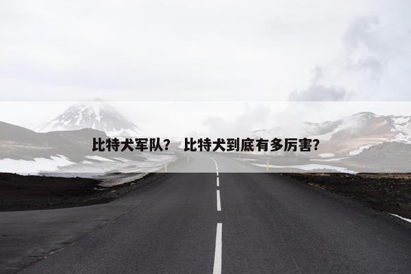 比特犬军队？ 比特犬到底有多厉害？