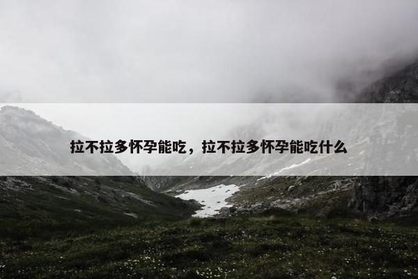拉不拉多怀孕能吃，拉不拉多怀孕能吃什么