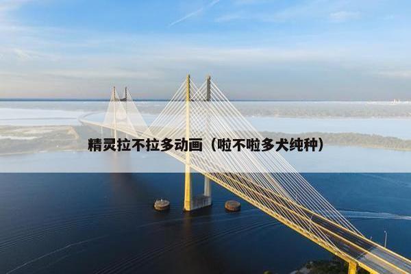 精灵拉不拉多动画（啦不啦多犬纯种）