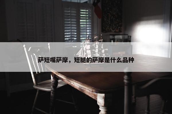 萨短嘴萨摩，短腿的萨摩是什么品种