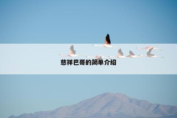 张大民