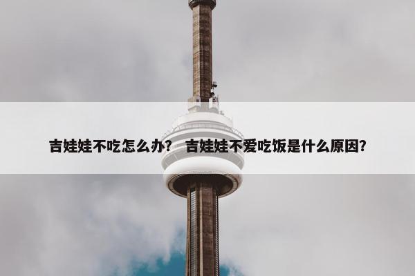 吉娃娃不吃怎么办？ 吉娃娃不爱吃饭是什么原因？
