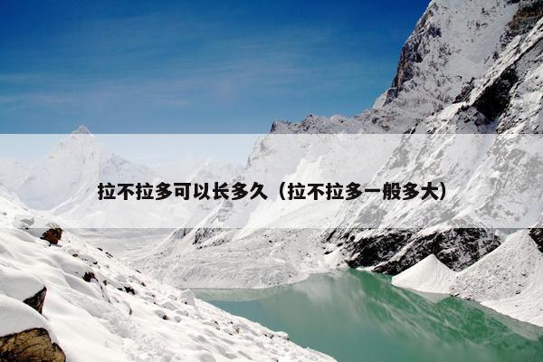 拉不拉多可以长多久（拉不拉多一般多大）
