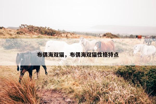 布偶海双猫，布偶海双猫性格特点