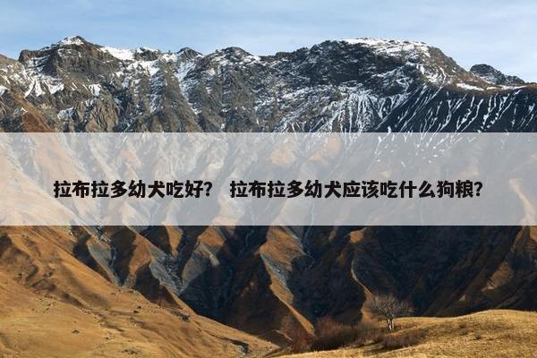 拉布拉多幼犬吃好？ 拉布拉多幼犬应该吃什么狗粮？