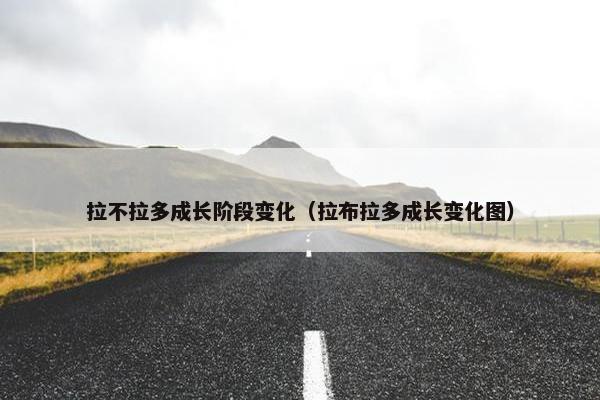 拉不拉多成长阶段变化（拉布拉多成长变化图）