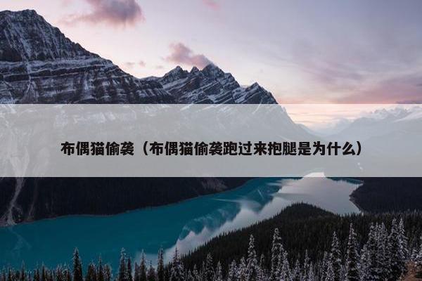 布偶猫偷袭（布偶猫偷袭跑过来抱腿是为什么）