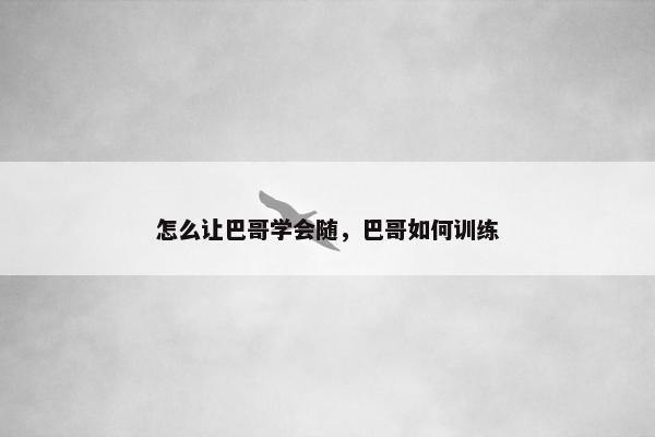 怎么让巴哥学会随，巴哥如何训练