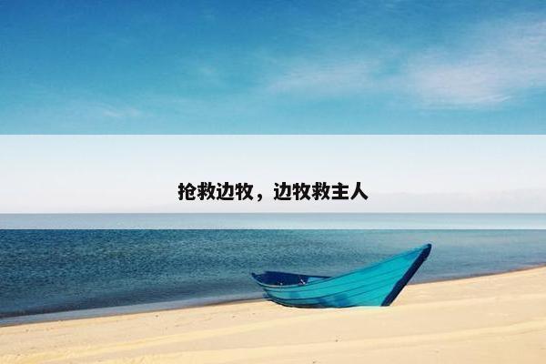 抢救边牧，边牧救主人