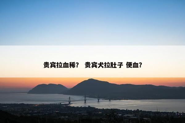 贵宾拉血稀？ 贵宾犬拉肚子 便血？