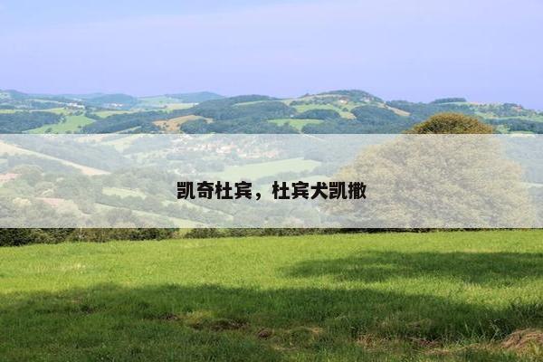 乒乓球