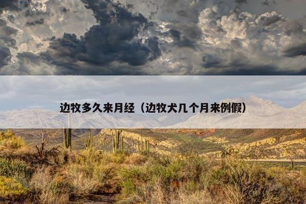 阴部