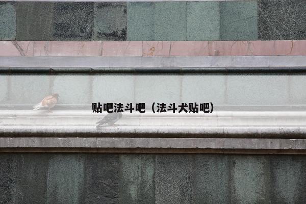 贴吧法斗吧（法斗犬贴吧）