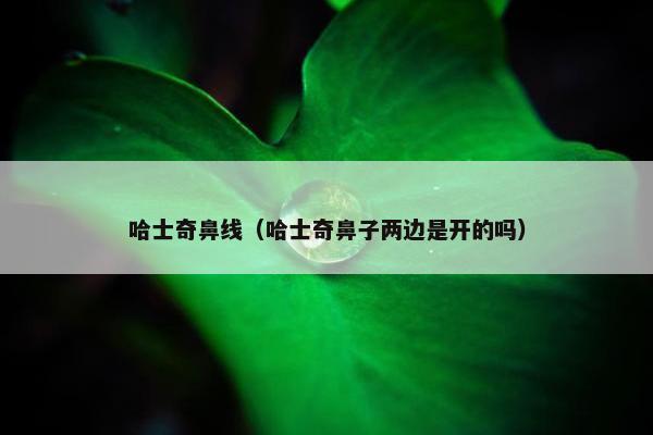 柯基 第7页