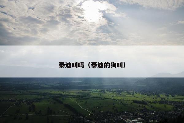 泰迪叫吗（泰迪的狗叫）