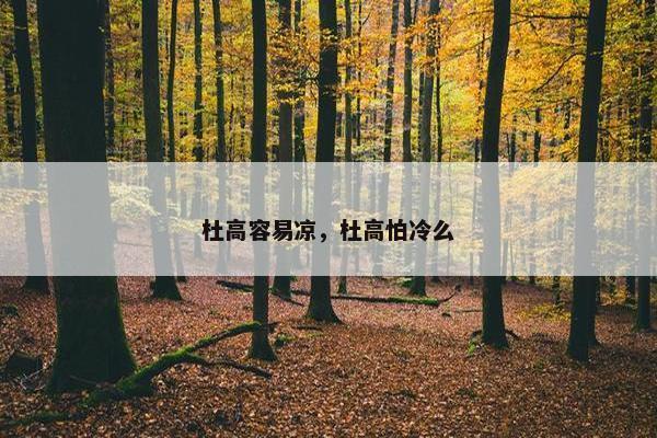 杜高容易凉，杜高怕冷么