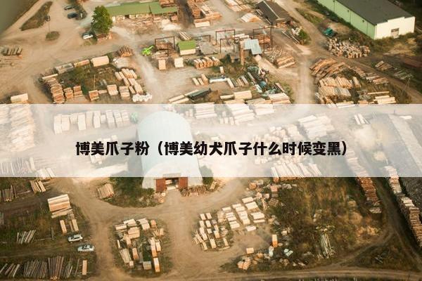 博美爪子粉（博美幼犬爪子什么时候变黑）