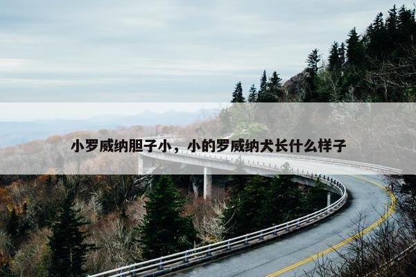 小罗威纳胆子小，小的罗威纳犬长什么样子