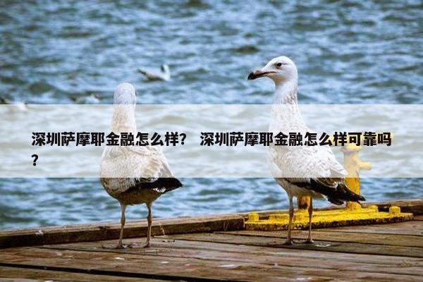 深圳萨摩耶金融怎么样？ 深圳萨摩耶金融怎么样可靠吗？