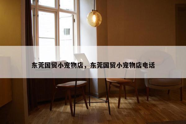 东莞国贸小宠物店，东莞国贸小宠物店电话
