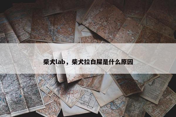 柴犬lab，柴犬拉白屎是什么原因
