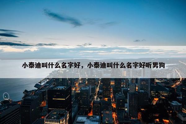 小泰迪叫什么名字好，小泰迪叫什么名字好听男狗