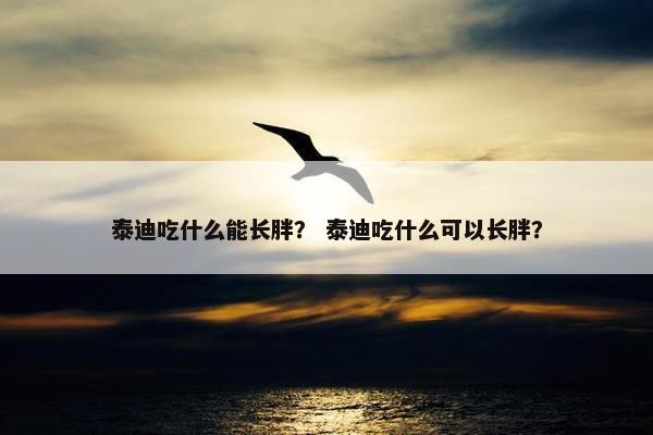 泰迪吃什么能长胖？ 泰迪吃什么可以长胖？