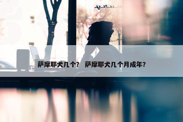 萨摩耶犬几个？ 萨摩耶犬几个月成年？