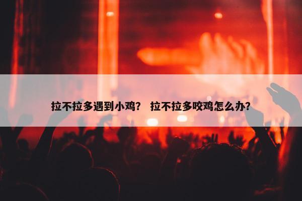 拉不拉多遇到小鸡？ 拉不拉多咬鸡怎么办？