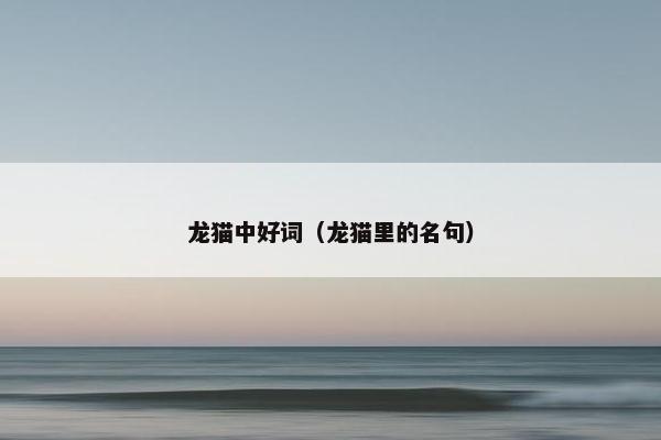 小斗
