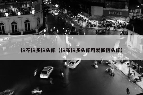 拉不拉多拉头像（拉布拉多头像可爱微信头像）