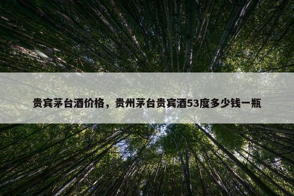贵宾茅台酒价格，贵州茅台贵宾酒53度多少钱一瓶