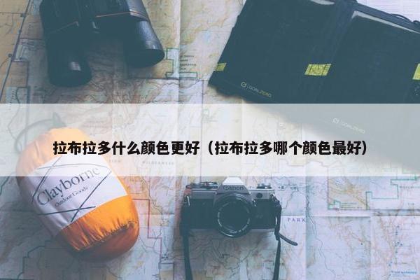 拉布拉多什么颜色更好（拉布拉多哪个颜色最好）