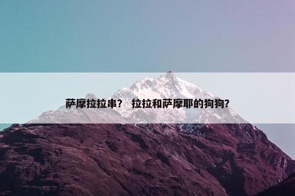 萨摩拉拉串？ 拉拉和萨摩耶的狗狗？