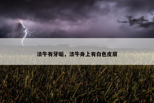 比较