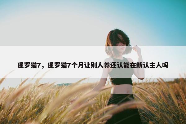 暹罗猫7，暹罗猫7个月让别人养还认能在新认主人吗