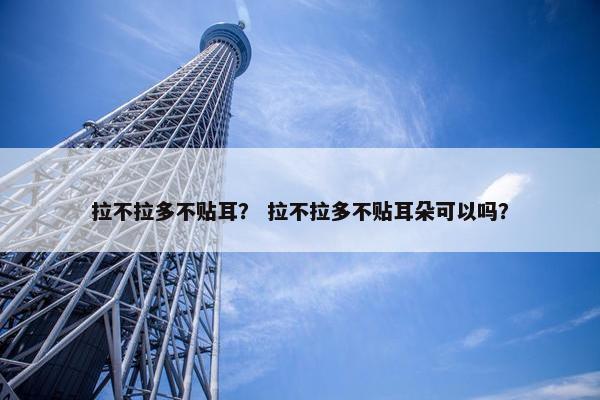 拉不拉多不贴耳？ 拉不拉多不贴耳朵可以吗？