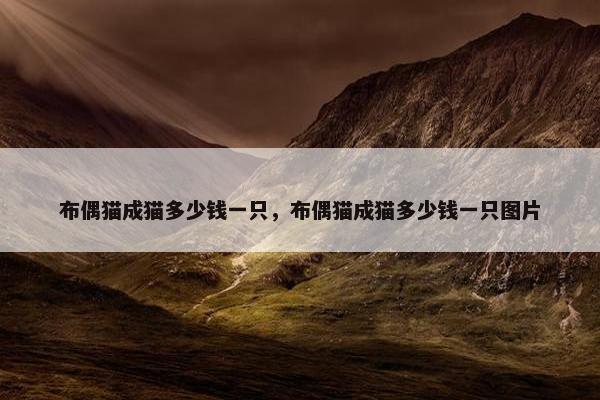 布偶猫成猫多少钱一只，布偶猫成猫多少钱一只图片