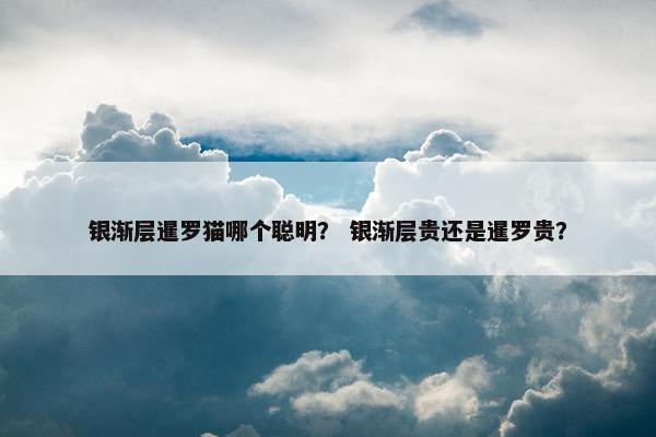 银渐层暹罗猫哪个聪明？ 银渐层贵还是暹罗贵？