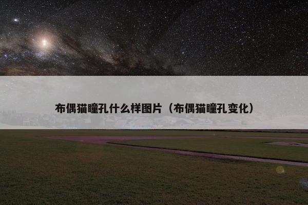 布偶猫瞳孔什么样图片（布偶猫瞳孔变化）