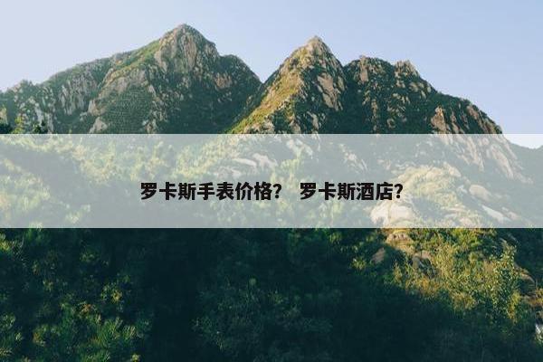 手表