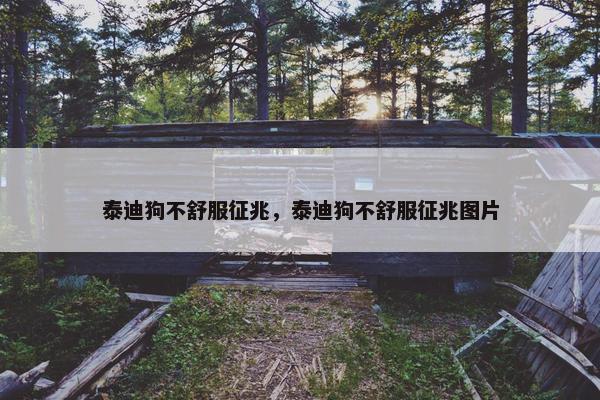 泰迪狗不舒服征兆，泰迪狗不舒服征兆图片