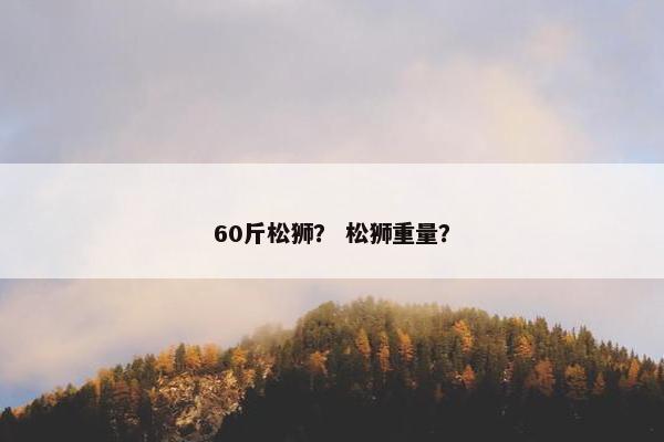 60斤松狮？ 松狮重量？