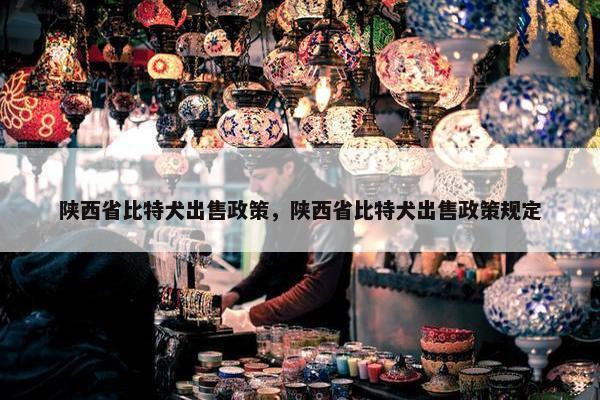 陕西省比特犬出售政策，陕西省比特犬出售政策规定