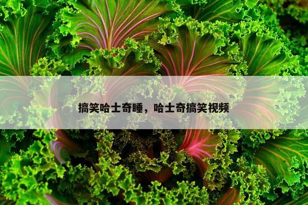 搞笑哈士奇睡，哈士奇搞笑视频