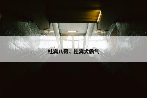 杜宾八哥，杜宾犬霸气
