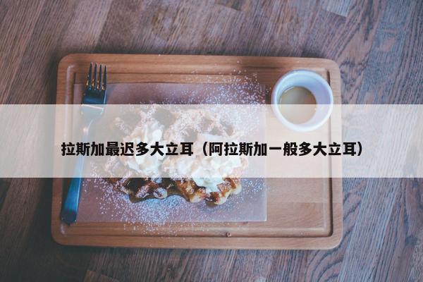 拉斯加最迟多大立耳（阿拉斯加一般多大立耳）