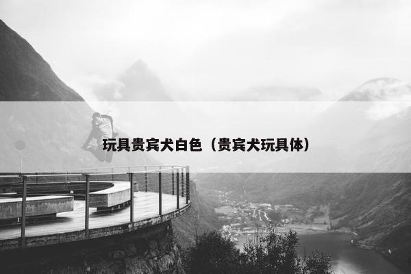 玩具贵宾犬白色（贵宾犬玩具体）